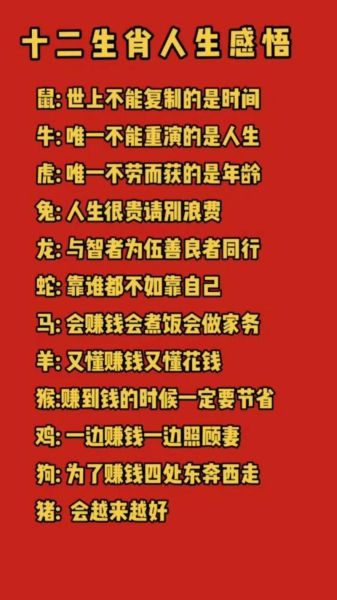 生肖感悟属相的句子（十二生肖一句话解读人生感悟）