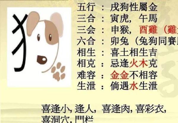 生肖属相匹配度（鸡与狗属相真的不合吗）