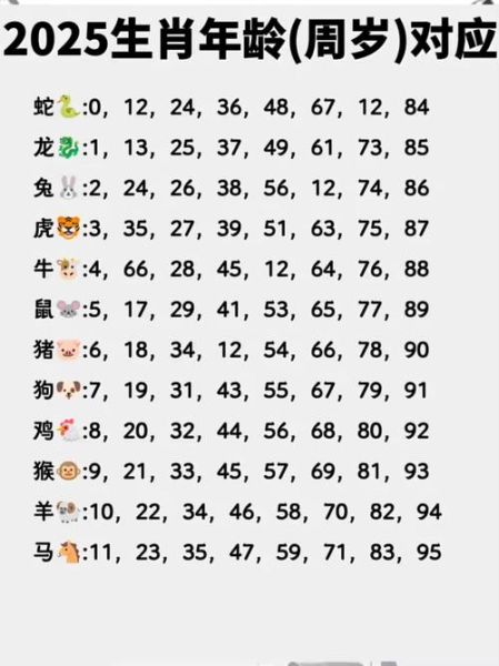 12生肖属相码表（12生肖属相码表查询指南）