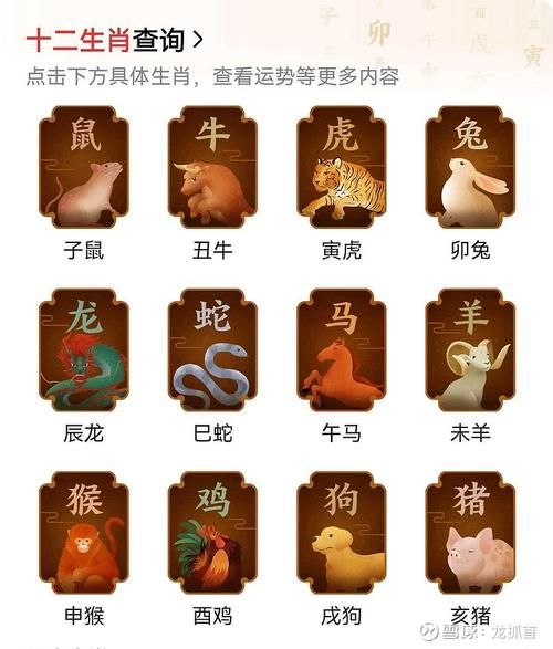 生肖蛇是什么属相（生肖蛇是什么属相及入门常识）