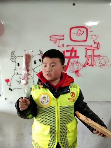 王子昊属什么生肖属相（王子昊属什么生肖？新手一看就懂）