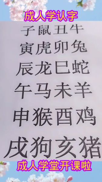 生肖属相怎么念拼音（生肖属相拼音怎么读最标准）