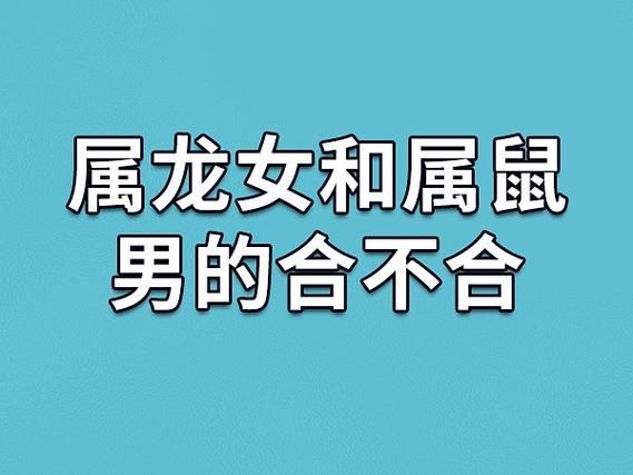 生肖鼠和龙属相合不合
