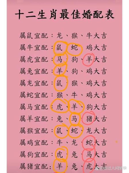 生肖马和什么属相最配(生肖马和什么属相最配,配对率最高的是虎)