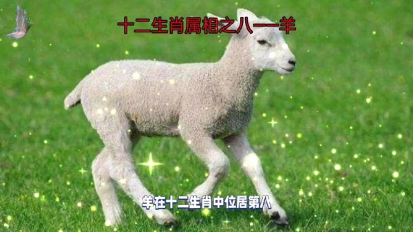 羊属相上面是啥生肖（属羊前面是啥属相）