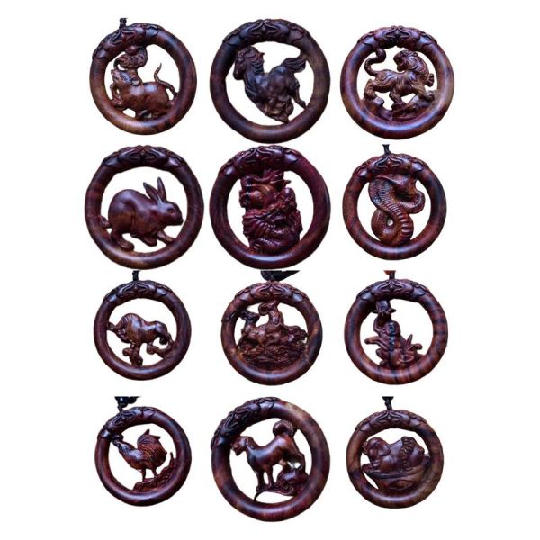 生肖属相模型大全（生肖属相模型大全高清图解）