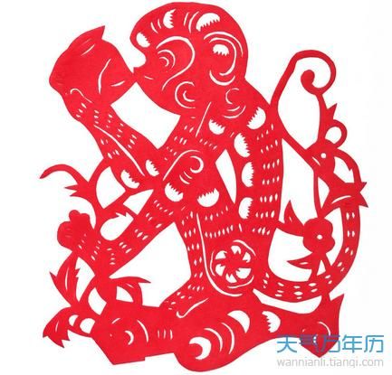 松柏木属于什么生肖属相