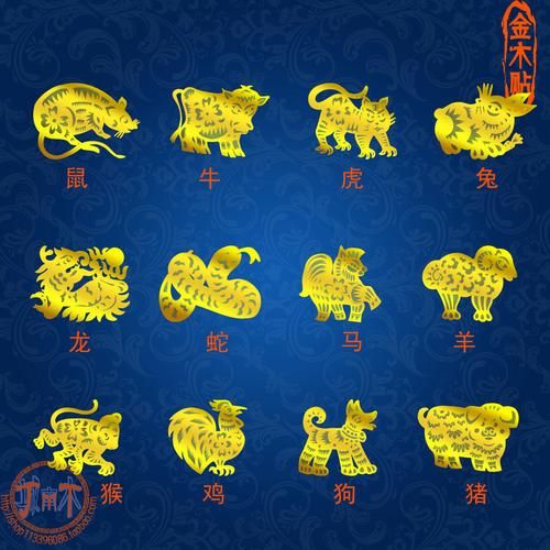 烟属什么动物生肖属相(烟属什么生肖?新手指南一看就懂)