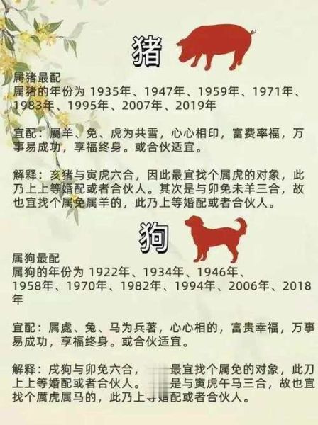 李琳属相生肖配对(李琳属相生肖配对表速查)