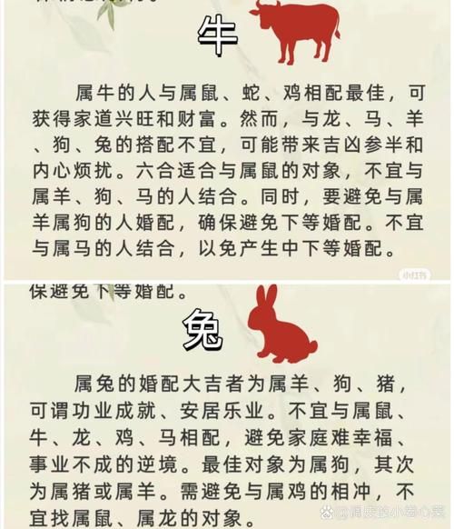 属相牛和生肖兔(属牛和属兔相配吗)