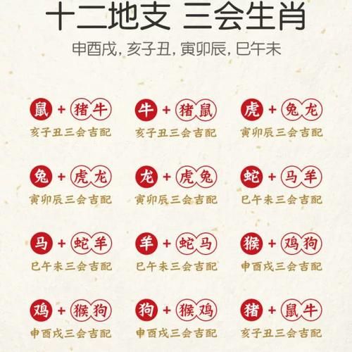 生肖马和生肖鸡属相和吗（生肖马和生肖鸡和吗？）