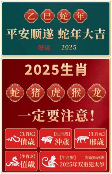 王安详属什么生肖属相