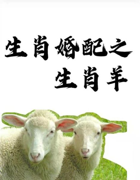 生肖羊婚姻配对属相(属羊的和什么属相最配婚姻)