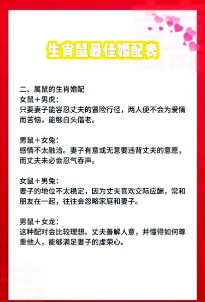 生肖鼠的配偶属相（生肖鼠的最佳配偶属相解析）