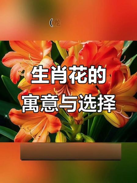 生肖属相幸运花（十二生肖专属幸运花有哪些？入门收藏版）