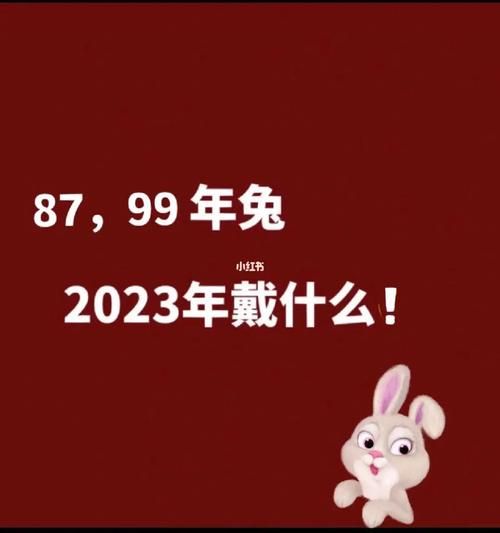 2023年属相与生肖运城（2023属兔运势全攻略）