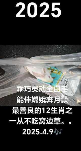 嫦娥属哪个生肖属相(嫦娥到底属什么生肖?小白3分钟看懂)