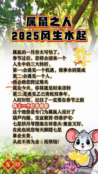 生肖鼠忌哪个属相的人(生肖鼠最忌讳的三大属相💥)