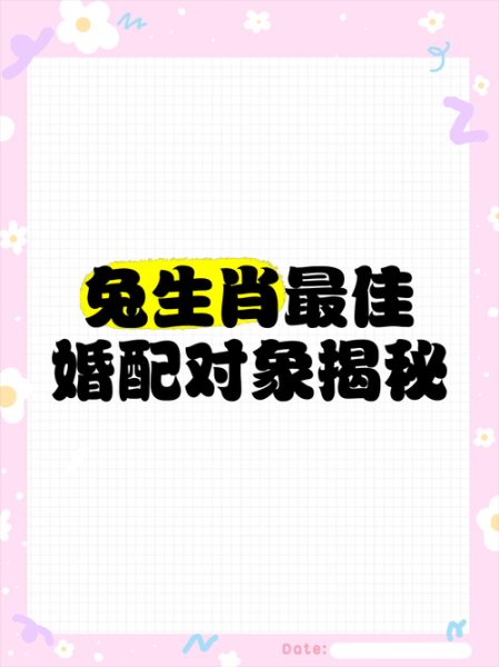 男兔的婚配生肖属相（男兔最佳婚配属相到底有谁？）