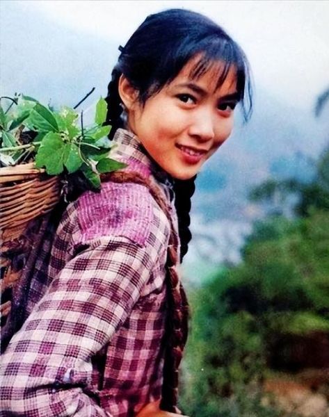 沈丹萍生肖属相(沈丹萍生肖属相揭秘)