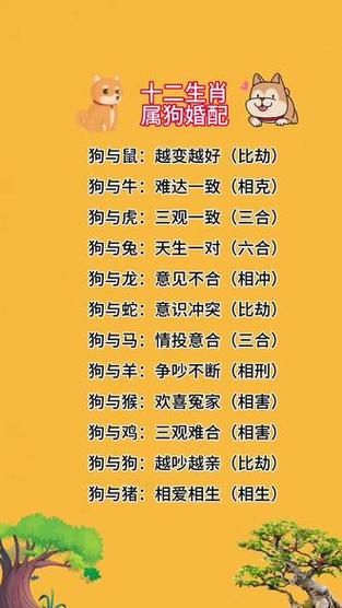 生肖狗跟哪个属相(生肖狗和哪个属相最配)