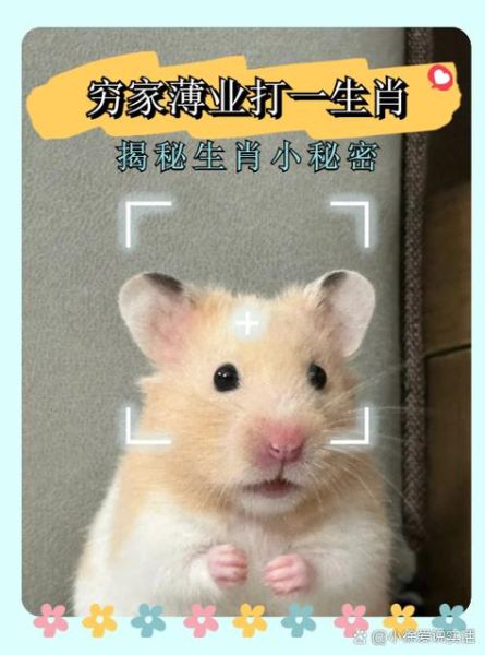 什么生肖属相最冷（生肖最冷的动物是哪个）