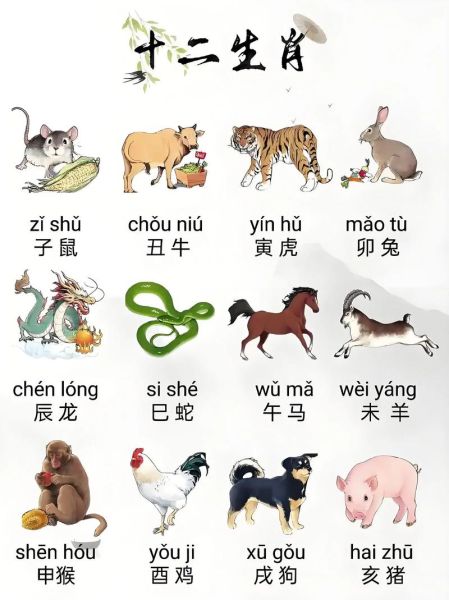 管子属相什么生肖（管子属相什么生肖 🐭）