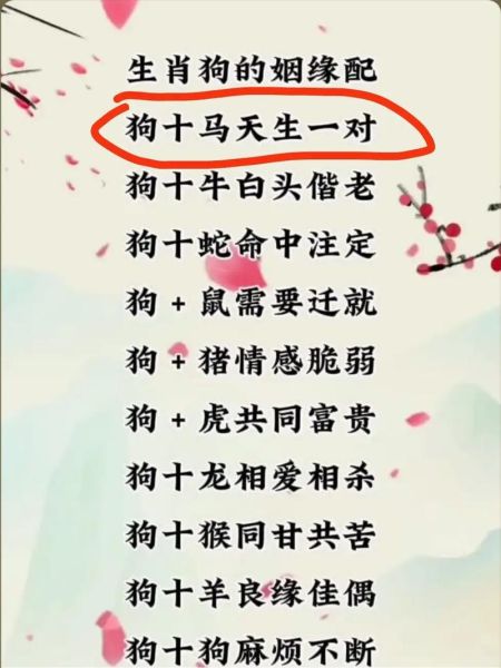 属相狗婚配最佳生肖(属狗最佳婚配生肖详解)
