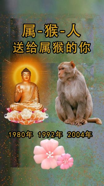 80属于哪个生肖的属相(80年属什么的生肖)