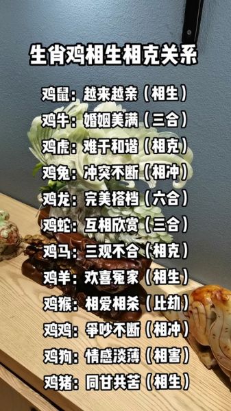 生肖属鸡和什么属相相配(属鸡和什么属相最配对婚姻)