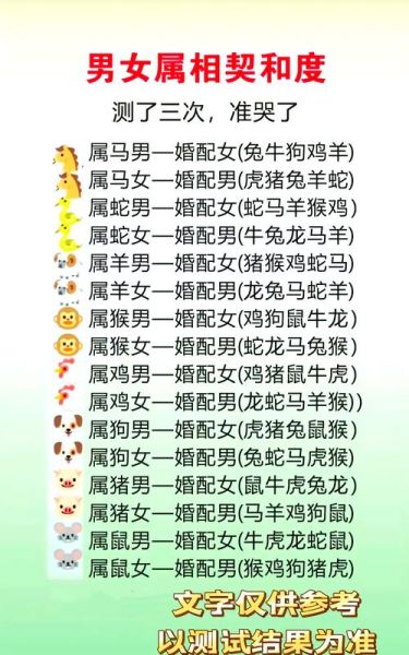 大婚合婚属相是什么生肖