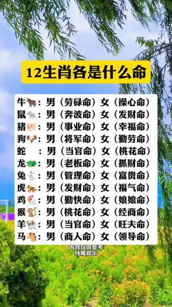 笑谈十二生肖属相（笑谈十二生肖属相的命理常识）