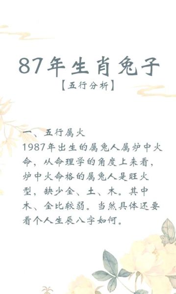 生肖兔子缺什么属相(生肖兔缺什么属相?新手避坑指南)