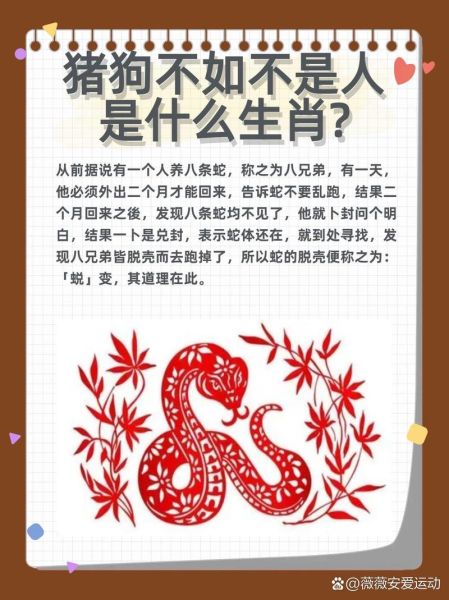 不属于十二生肖的属相（不属于十二生肖的动物有哪些）