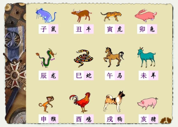 元旦代表哪些生肖属相（元旦对应什么生肖属相）