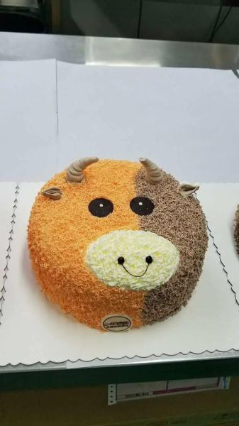 2009年什么年生肖属相（2009年出生属什么生肖？🎂牛年宝宝速查）