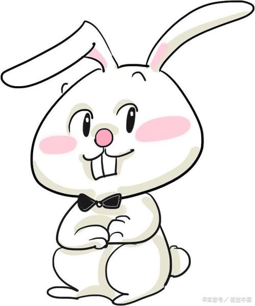 兔年属什么生肖属相