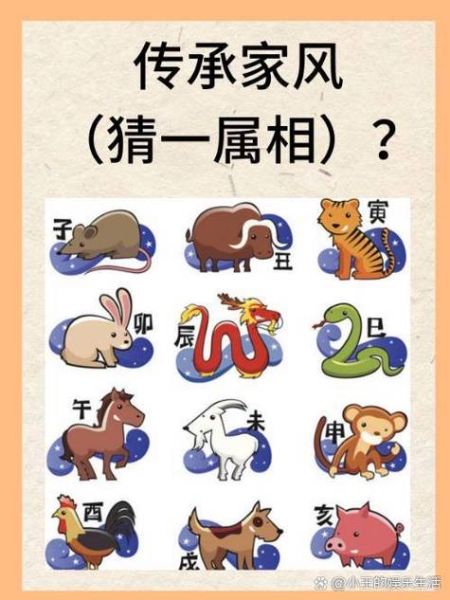 柴字的生肖是什么属相(柴字代表哪个生肖?小白必看)