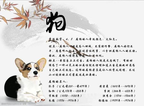 十二生肖狗属相(生肖狗的性格特点和运势)