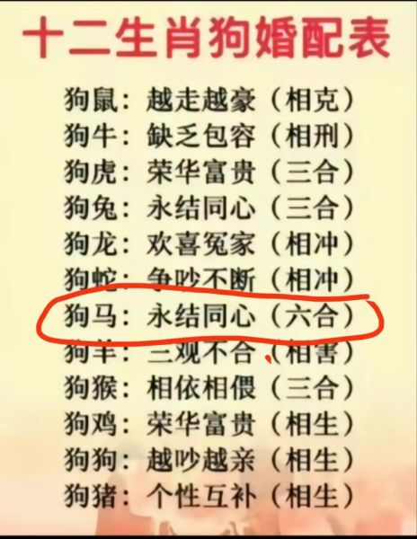 狗搭配的生肖属相（狗和哪些属相最配 🐶❤️）