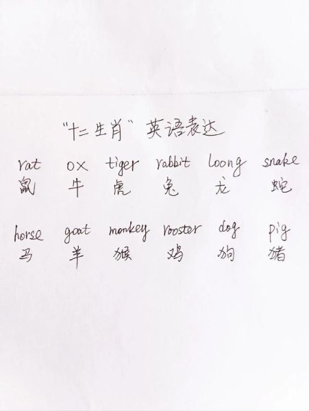 生肖_属相的英语（生肖英语怎么说最地道？）
