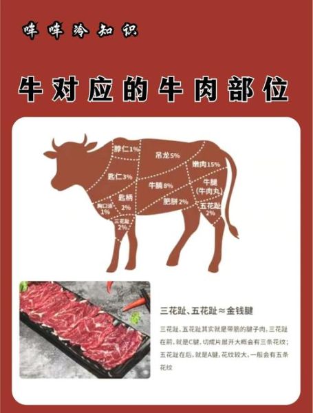 属相生肖吃肉忌(属牛的人可以吃牛肉吗)