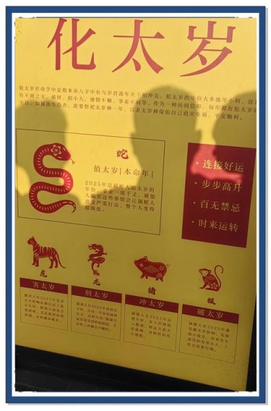 生肖属相优点和缺点(属鼠人性格优缺点详解)