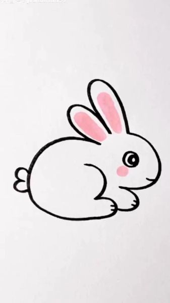 兔子生肖属相怎么画（超简单兔子简笔画教程）