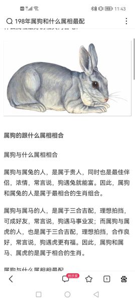 和生肖狗属相相配的生肖（生肖狗和什么属相最配？）