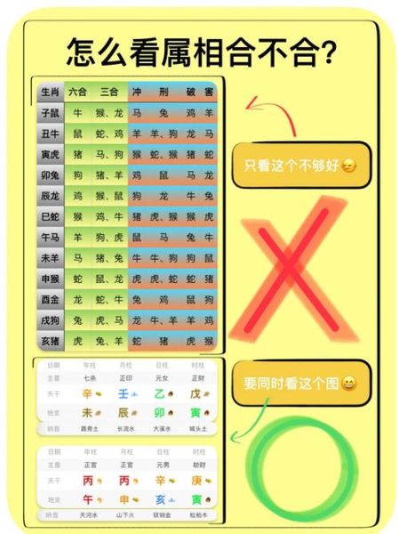 如何判断生肖和属相（生肖属相怎么看才算对）