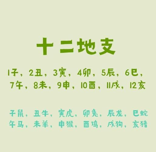 木属相是什么生肖（木属相对应哪些生肖）