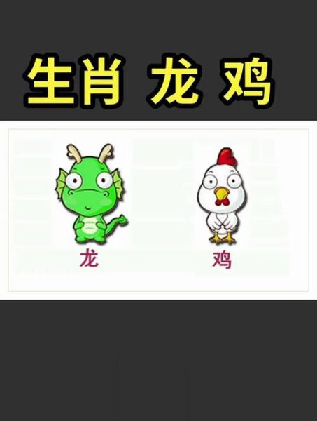 鸡龙生肖属相(鸡龙生肖属相到底合不合)