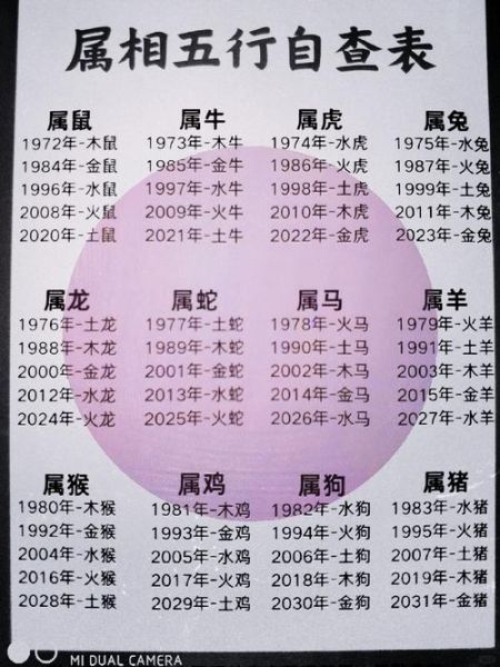 65年属什么生肖属相（1965年出生属什么生肖最准确）