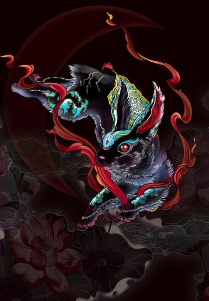 属相黑兔是什么生肖（黑兔属什么生肖新手一看就懂）